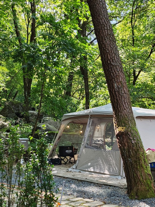 숲속 텐트
